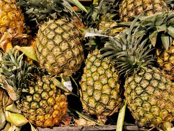 Close-up of fruits for sale in market