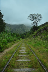 Railroad track amidst trees against sky