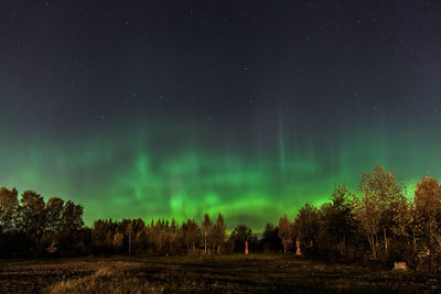 Scenic view of trees on field against sky at night