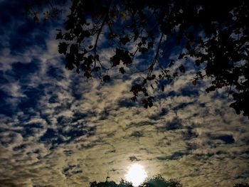 Low angle view of silhouette trees against sky