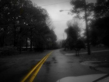 Country road along trees