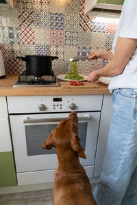 Woman puts the fettuccine pesto paste from saucepan on a plate, dog begging nearby.