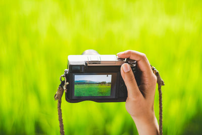 Cropped hand of person photographing green landscape with camera