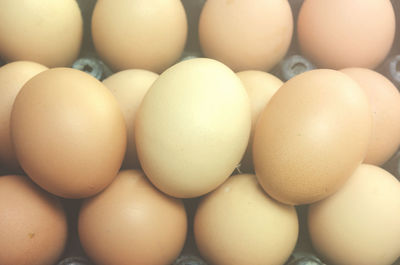 Close-up of eggs in container