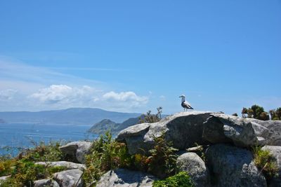 Scenic view of sea next to mountains