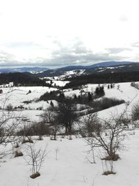 Scenic view of field against sky during winter