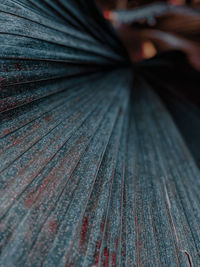 Close-up of wooden plank