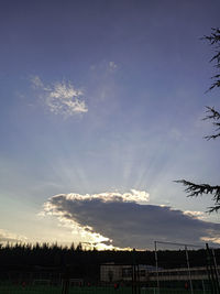 Low angle view of silhouette trees against sky