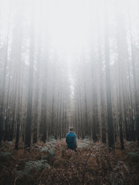 Rear view of man amidst trees in forest