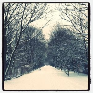 Road passing through snow covered landscape