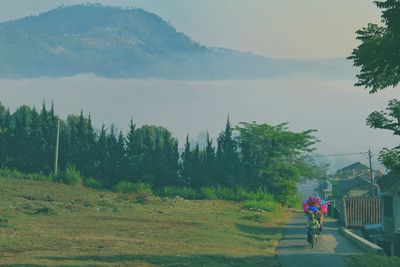 People riding bicycle on road amidst trees