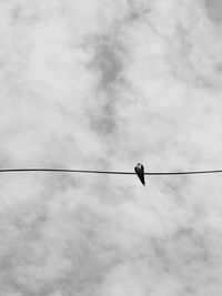 Low angle view of bird perching on cable against sky