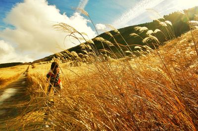 Woman standing on field against sky