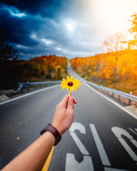 Cropped image of person holding yellow flower on road