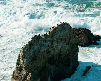 Scenic view of rocky beach