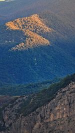 High angle view of rock on land