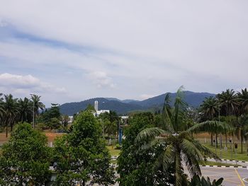 Scenic view of trees and plants against sky