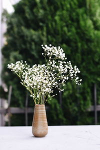 Close-up of white flower vase on table