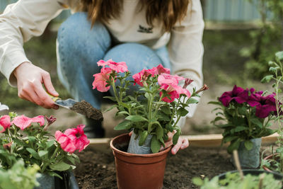 Midsection of woman picking flowers