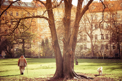 Rear view of man walking by tree at park