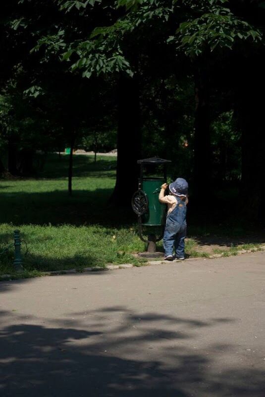 tree, full length, rear view, lifestyles, leisure activity, casual clothing, walking, park - man made space, person, growth, road, footpath, the way forward, grass, street, park, day, outdoors