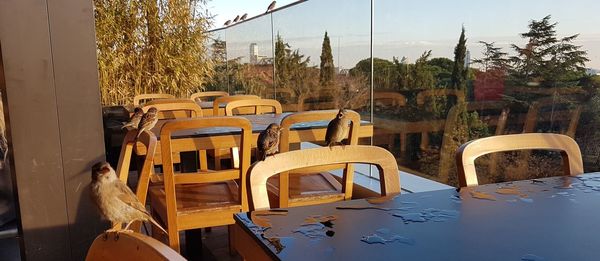 Chairs and table by trees against sky