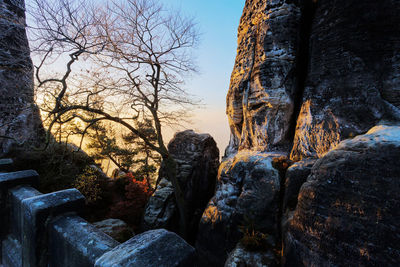 Rock formation amidst bare trees against sky