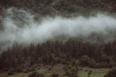 High angle view of forest against sky