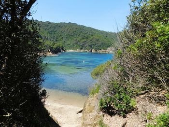 Scenic view of landscape against clear blue sky