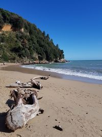 Scenic view of beach against clear sky