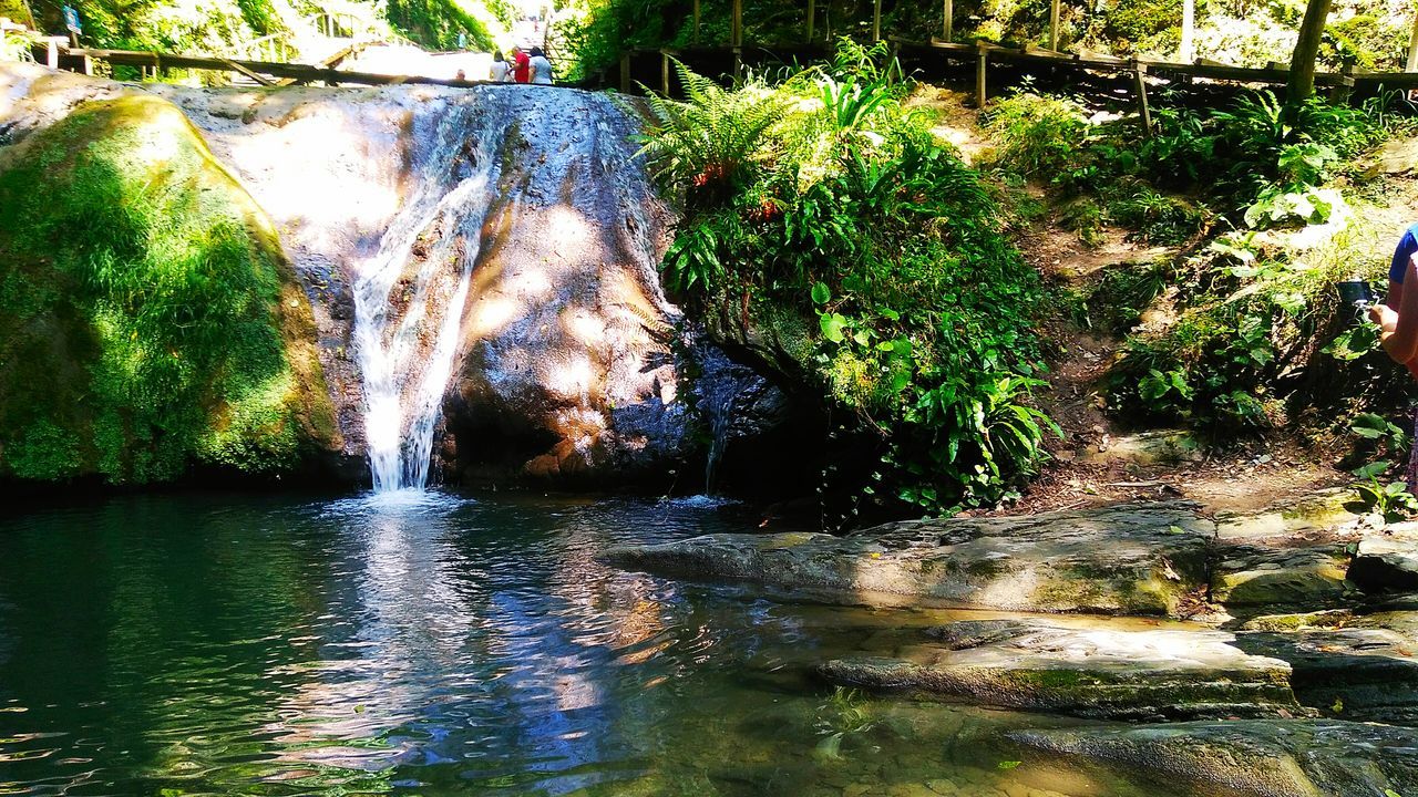 SCENIC VIEW OF WATERFALL AT FOREST