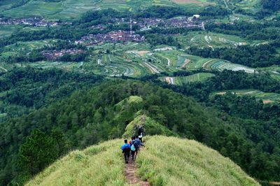 High angle view of people looking at forest