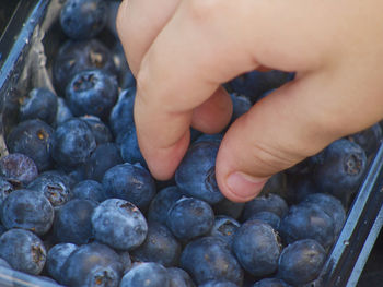 Close-up of hand holding grapes for sale
