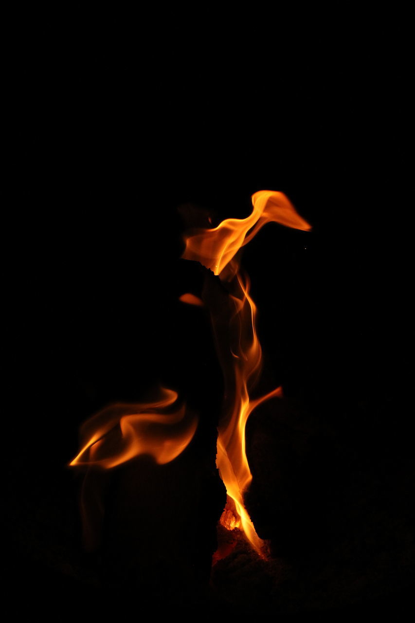 black background, burning, flame, fire, heat, darkness, studio shot, no people, nature, orange color, motion, close-up, font, copy space, black, indoors, yellow, communication