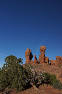 Low angle view of trees against clear blue sky