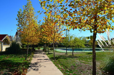 Trees in park against sky during autumn