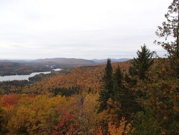 Scenic view of landscape against sky during autumn