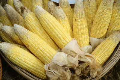 Close-up of corn