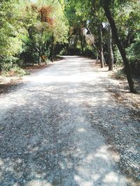 Empty road along trees