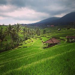 Scenic view of field against cloudy sky