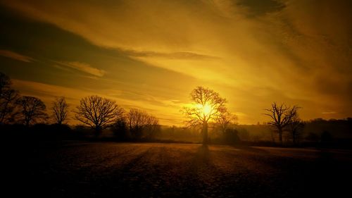 Silhouette trees on landscape against sky during sunset