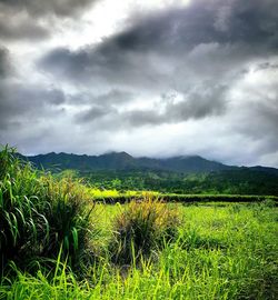 Scenic view of field against cloudy sky