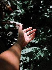 Midsection of person holding plant