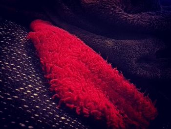 Close up of red fabric