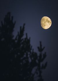 Low angle view of moon against sky at night