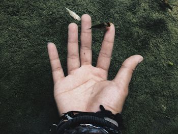 High angle view of person hand on street