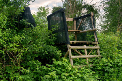 Abandoned built structure in forest