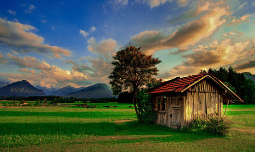 House on field by trees against sky