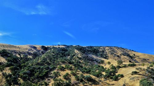 Scenic view of landscape against blue sky