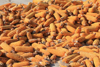 Full frame shot of onions